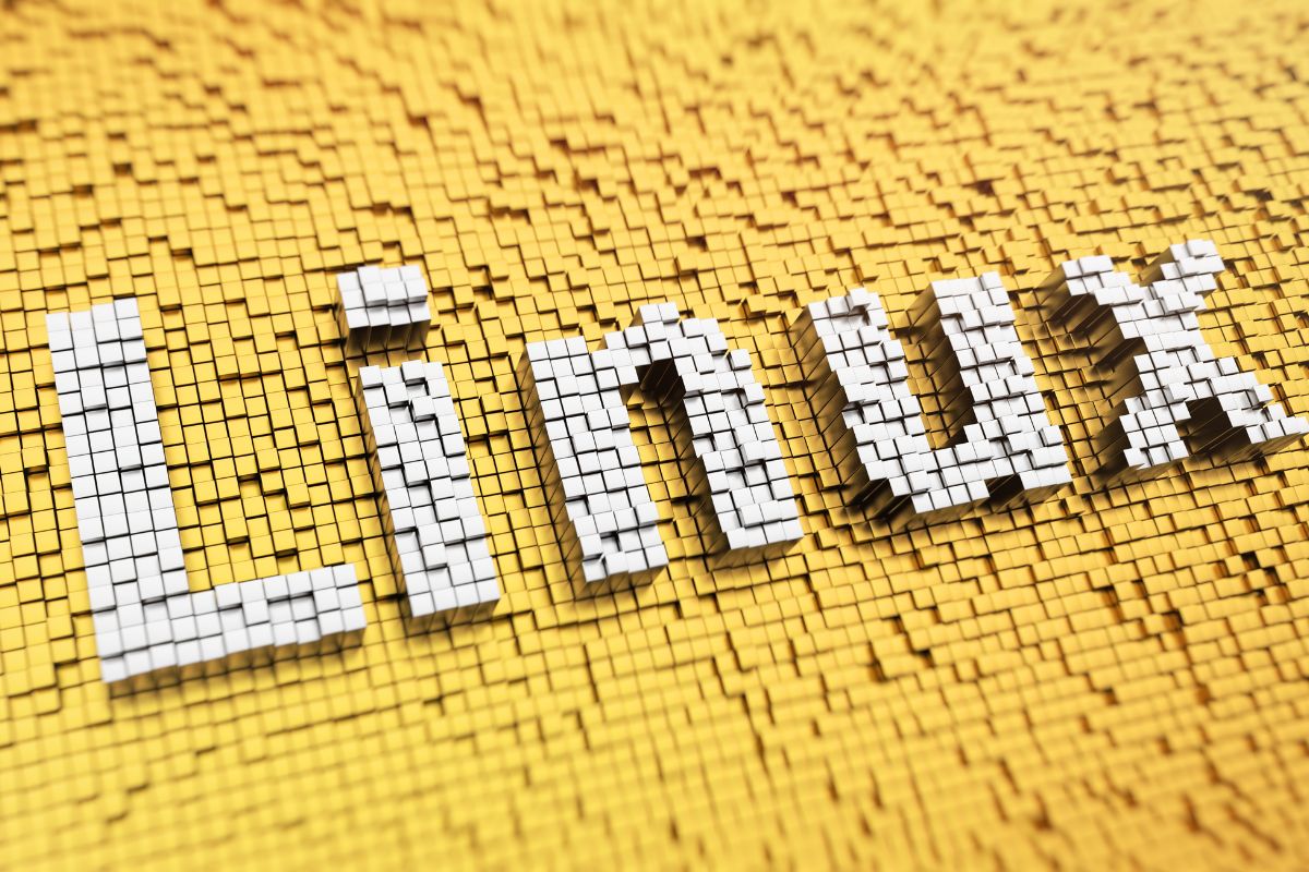 Programista przy kodzie źródłowym jądra Linuksa